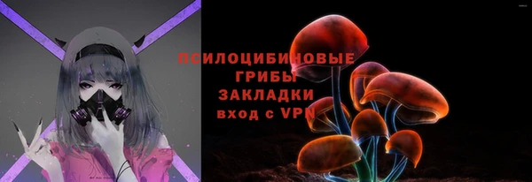 прущие крисы Белокуриха