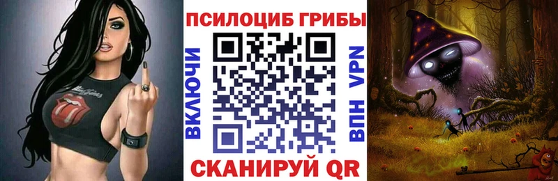 Псилоцибиновые грибы Psilocybine cubensis Буйнакск