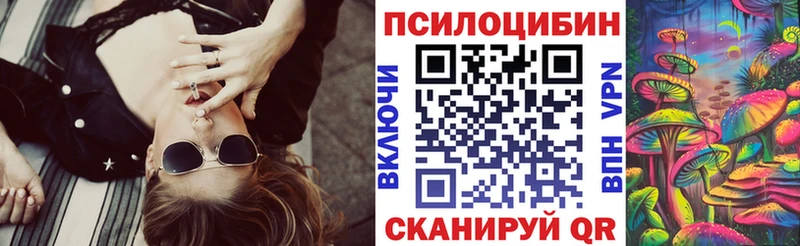 блэк спрут как войти Буйнакск Галлюциногенные грибы Magic Shrooms