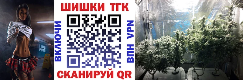 Каннабис OG Kush  Буйнакск 